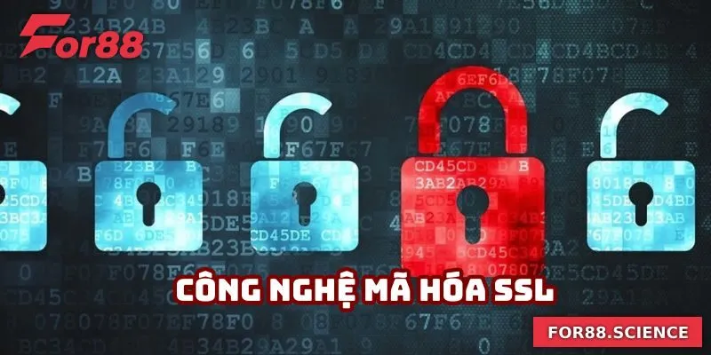 Quyền Riêng Tư For88 - Đảm Bảo Lợi Ích Và An Toàn Thông Tin Mã hóa dữ liệu hiện đại theo quyền riêng tư For88